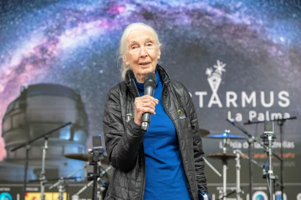 WhatsApp Image 2025-04-28 at 13.00.10 (1)